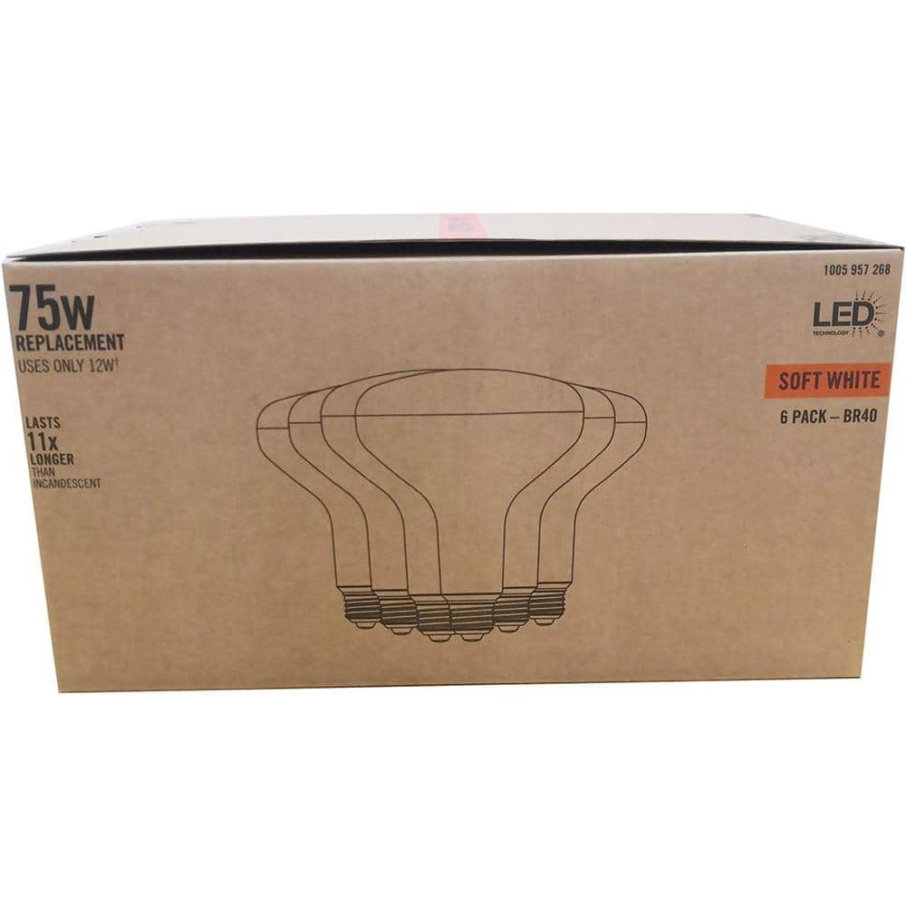 75-Watt Equivalent BR40 Dimmable LED Light Bulb Soft White (6-Pack)