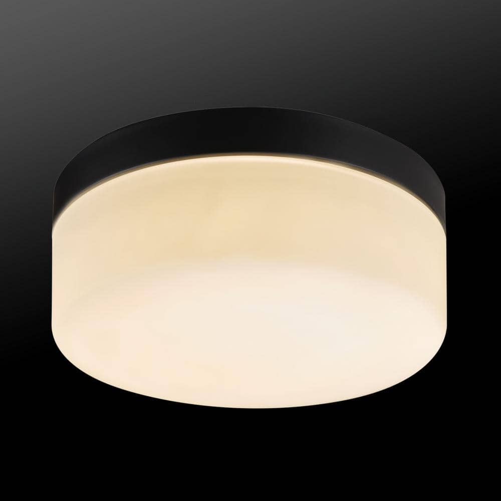 Globe Electric Mark 1-Light Black LED Outdoor/Indoor Integrated Flush Mount Ceiling Light with Frosted Glass Shade