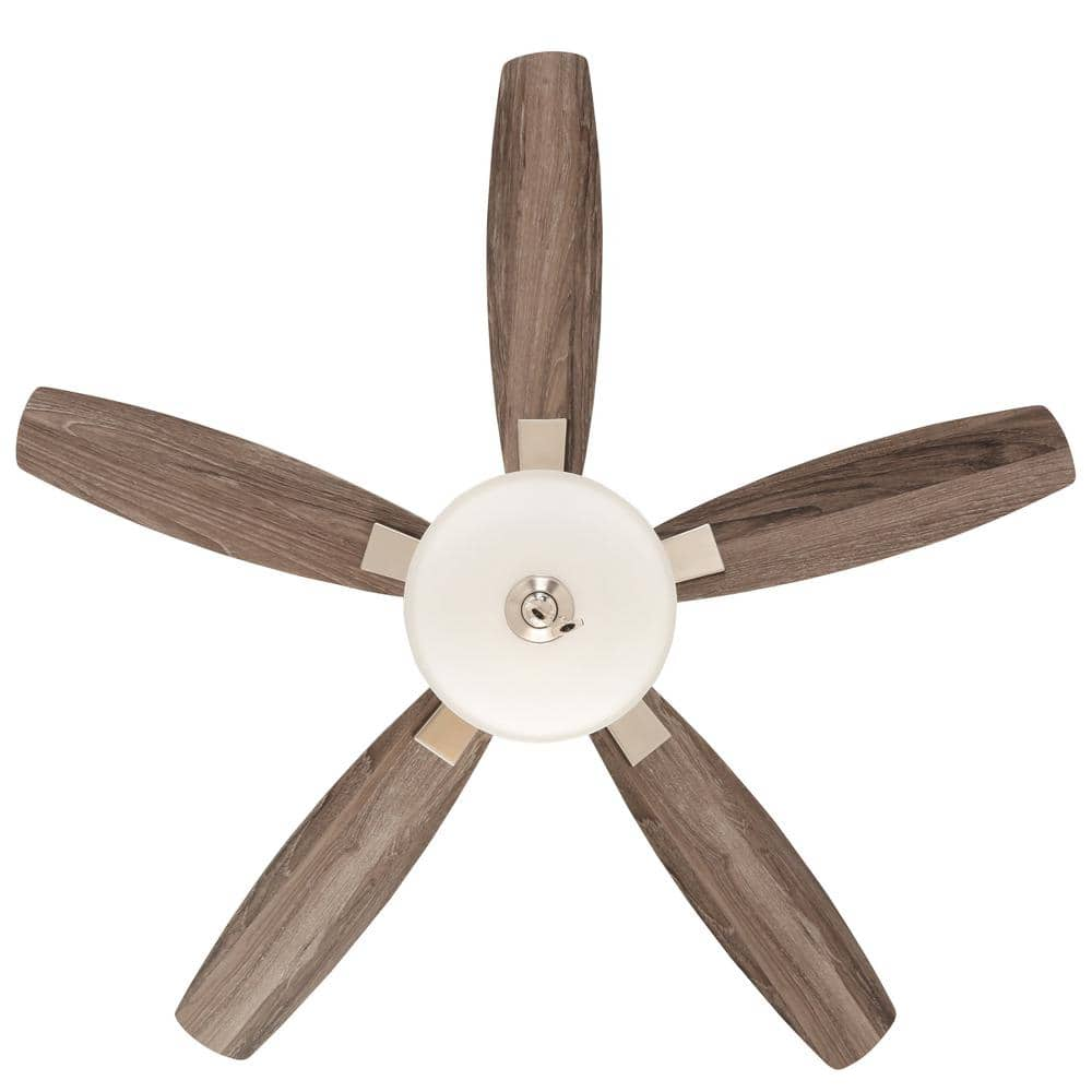 Hampton Bay Menage 52 in. Integrated LED Indoor Low Profile Brushed Nickel Ceiling Fan with Light Kit