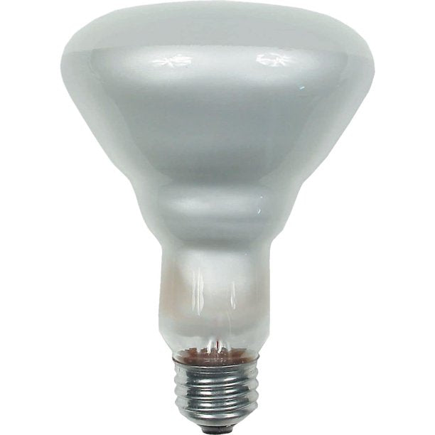 GE Indoor 65 Watt Floodlight Bulb, Soft White 1 ea