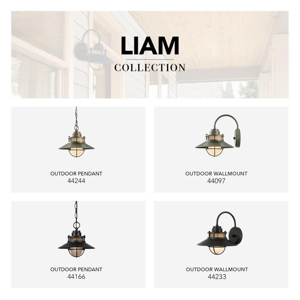 Globe Electric Liam Matte Black Hanging Outdoor Pendant