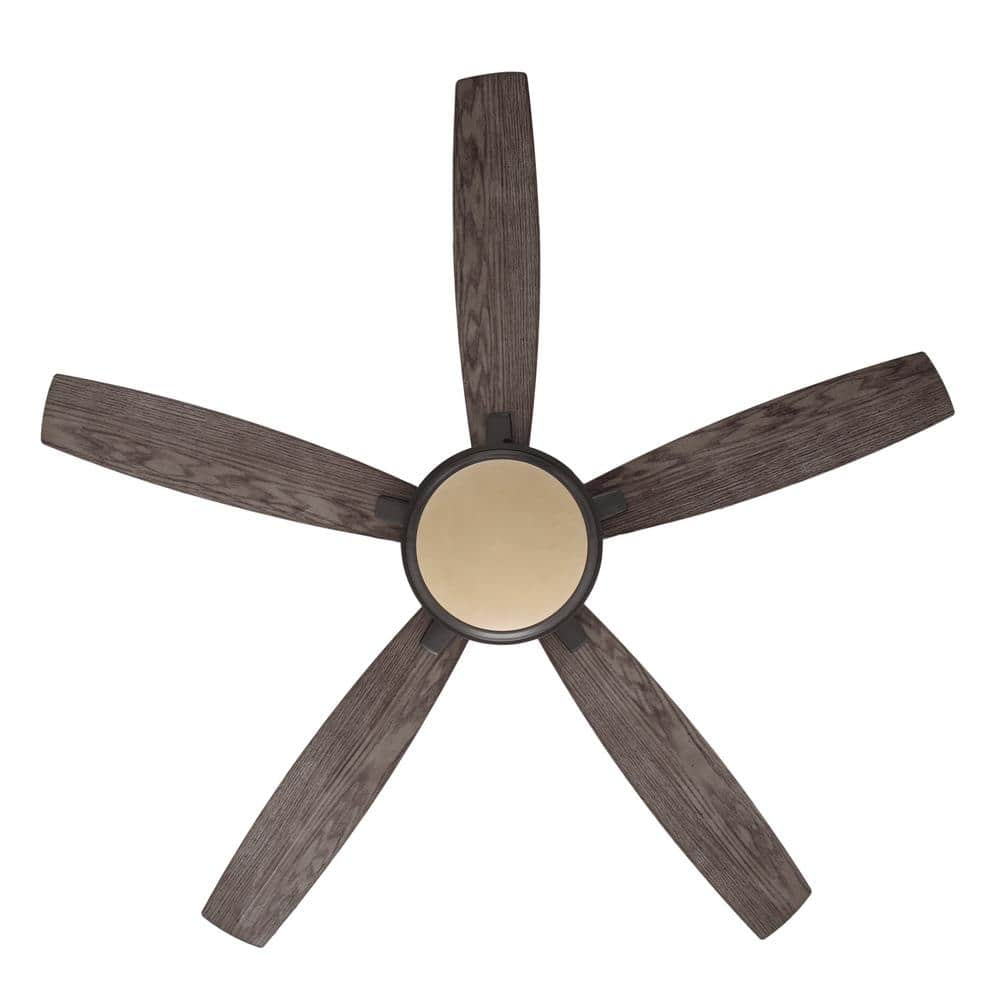 Hampton Bay Roanoke 56 in. LED Indoor/Outdoor in Natural Iron Ceiling Fan